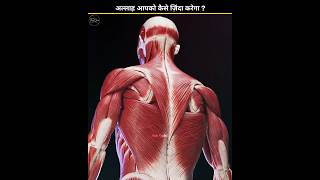 How Will Allah Recreate Billions of Humans? ||अल्लाह इंसानों को दोबारा उठाएगा 😱#shorts #facts