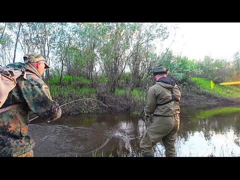 ТАСКАЕМ ЩУК ИЗ РУЧЬЯ НА СПИННИНГ / РЫБАЛКА НА КРАЙНЕМ СЕВЕРЕ / ХИЩНИК СКОПИЛСЯ В УЗКОЙ ПРОТОКЕ.