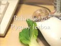 baluchistan pygmy jerboa　babys Mp3 Song