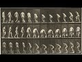 Animal locomotion plates 101110 18841887 by eadweard muybridge