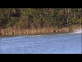 VideoClip326