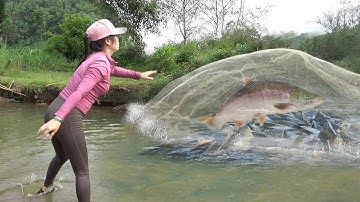 The Girl Fishing on Rivers and Lakes, Traditional Fishing, Catch a Lots of Fish Goes to Market Sell