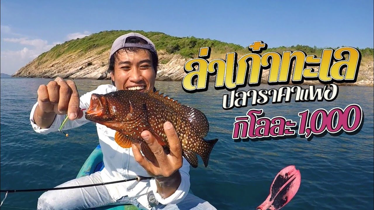 ล่าปลาเก๋าทะเล[เเนวหินชายฝั่งด้วยเรือคายัก] EP60