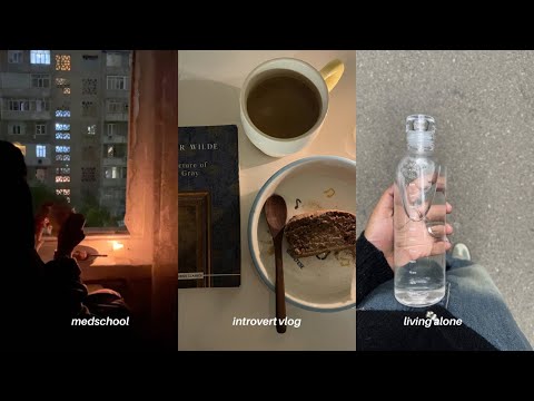 dairy of an introvert medstudnt living alone(uni day off, selfcare, trying ramen & birthday dinner)ֶ