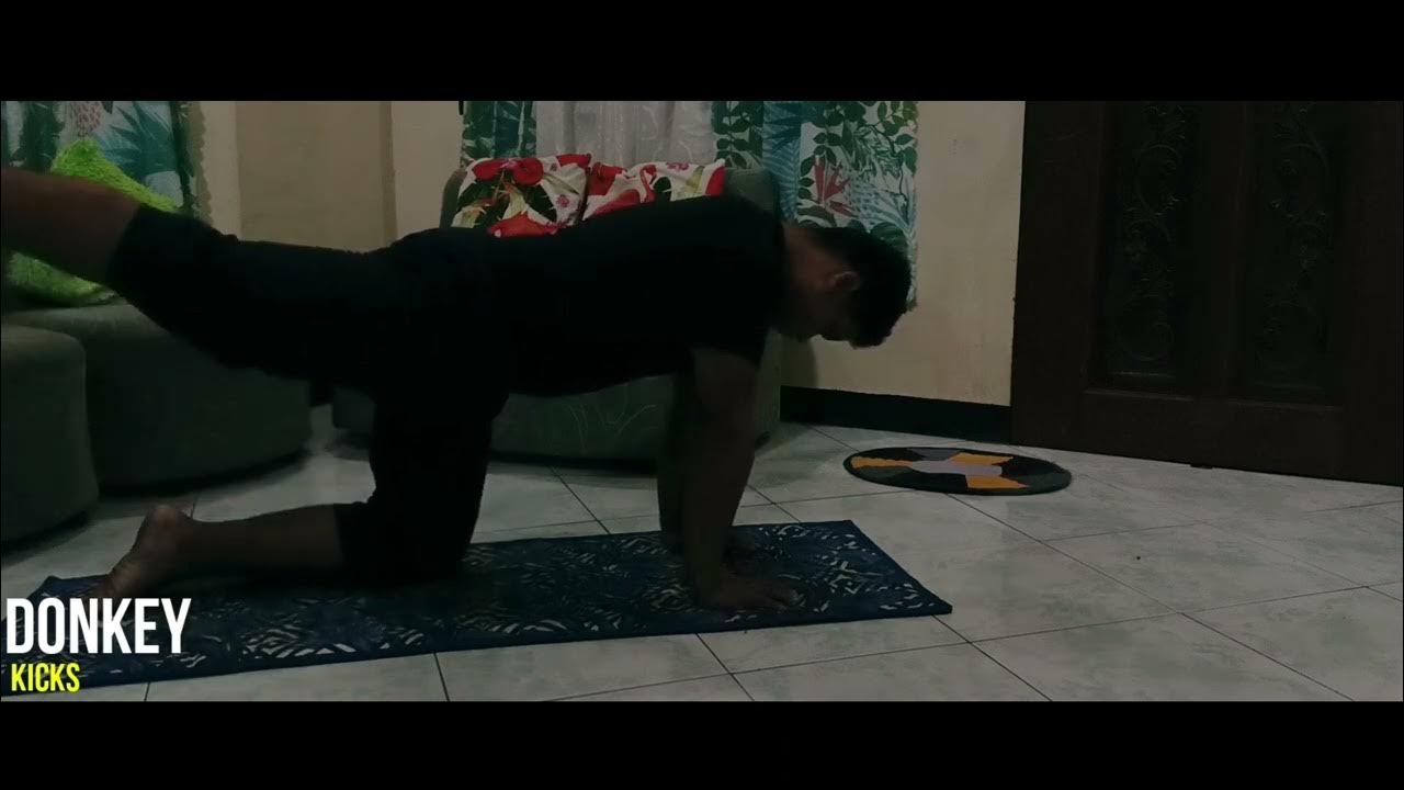 BIRD DOG DEAD BUG EXERCISES MATTHEW VALDEZ PED030 YouTube