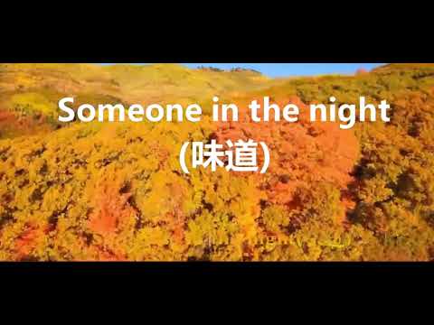 Sofia Kallgren 《Someone in the night 》味道 （英文歌词）