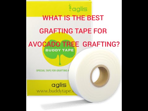 Video: Tree Grafting Tape - Why Is It Good?