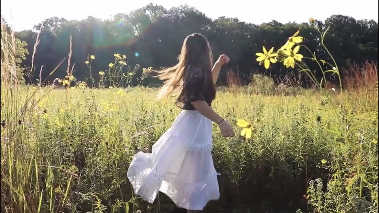 Wandering Alone