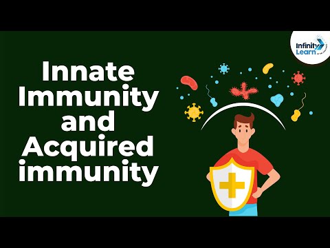 Video: Hvilken immunitet oppnås i løpet av livet?