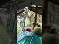 Accès cabane dans les arbres au Parc Family Aventure