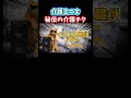 【衝撃】〇〇に介護人生を変えられました #shorts #介護 #猫ミーム #鳥ミーム