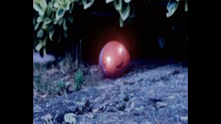 Mysterious painted pebbles are appearing