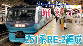 【JR東海道線】特急スーパービュー踊り子14号 横浜駅発車  ～251系RE-2編成～