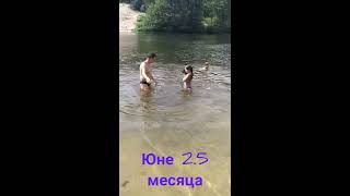 Ягдтерьер. Как Приучить Собаку К Воде Jagdterrier. How To Train Your Dog To Water