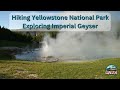 Imperial Geyser in Yellowstone National Park