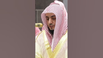 جمال التلاوة مع جمال صوت العصافير 🕊️🤍 الشيخ د الوليد الشمسان