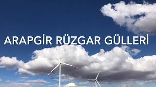 Arapgirin Havasına Renk Katan Rüzgar Gülleri.