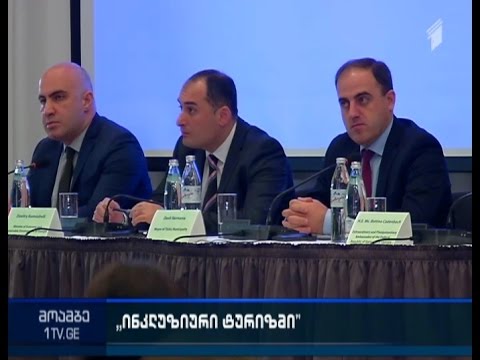 ინკლუზიური ტურიზმის მესამე საერთაშორისო კონფერენცია თბილისში