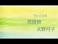 うたってみた 菩提樹 天野月子
