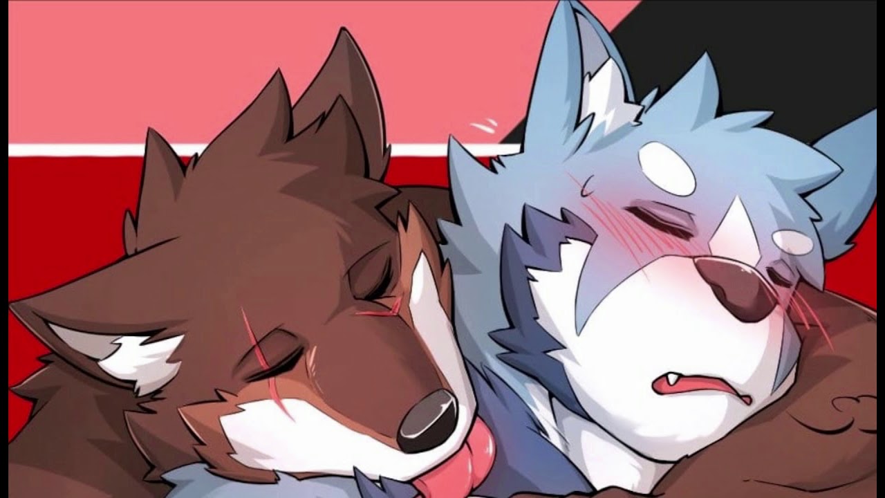 Gay Furry Love Reupload New Pictures New Music Youtube