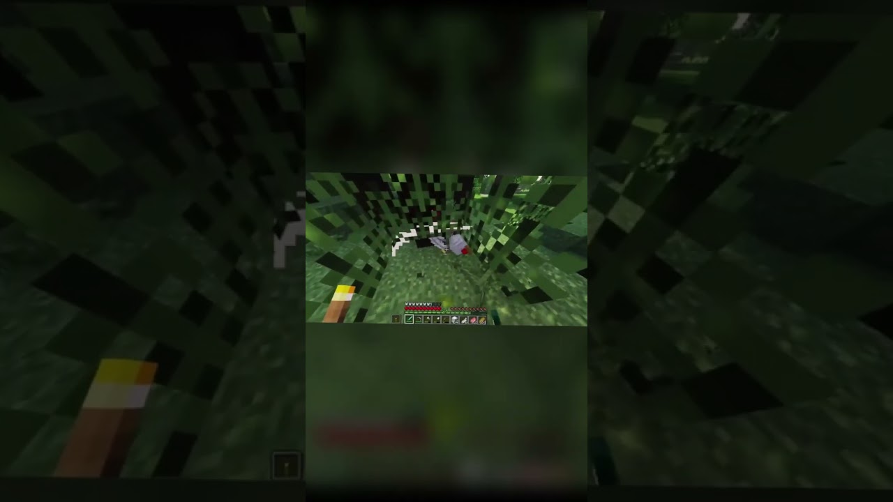 minecraft animal cruelty 🐔#minecraft #shorts
