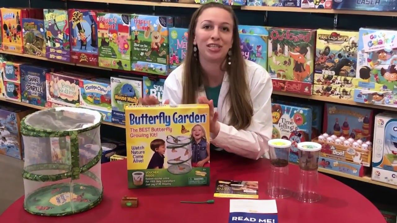 Insect Lore Butterfly Garden (Reupload) YouTube