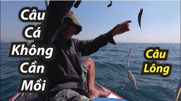 ✅ Câu Cá Biển Không Cần Mồi ( Câu Lông)  | Phú Quốc Vlog #17