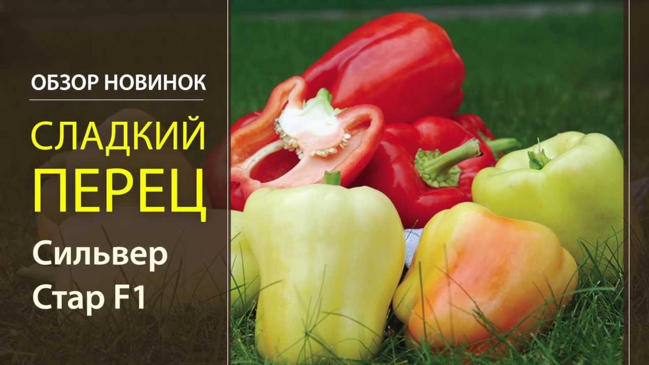 Перец веста f1 партнер