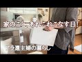 【アラ還主婦】37年分の写真整理/義母の服の断捨離/アクアパッツァ