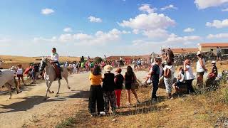 MIRUEÑA DE LOS INFANZONES 2018 AGOSTO LAS CINTAS