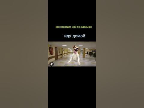 хэппи нью э - YouTube