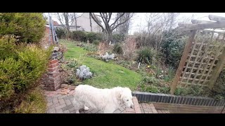 March Garden Tour