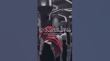 (إن الله يحب الذين يقاتلون في سبيله) القارئ: محمد صديق المنشاوي