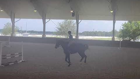 Rosemary Rail - Texas A&M Camp Jumping June 2024