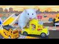 Hamster in Car Maze Stories - Hamster Escape Maze for Pet in Real Life
