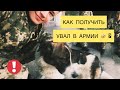 ПЕРВЫЙ УВАЛ В АРМИИ? КАК ВЫЙТИ В ГОРОД? / YURIK