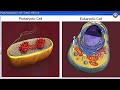 Molecular Basis of Inheritance-2 Animation | CBSE Class 12 Biology Animated 3D Video, Neetbharath.in