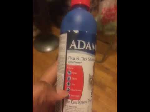 adams-plus-flea-&-tick-dog-shampoo-review