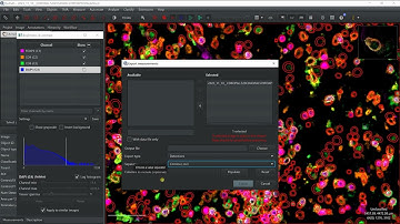 Export measurements from QuPath