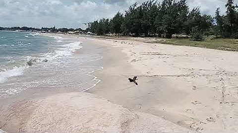 Bãi Biển Hoang Sơ Nằm Ở Huyện Xuyên Mộc Bà Rịa Vũng Tàu | Nhật Kí Du Lịch TV