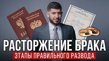 Где можно посмотреть статус развода