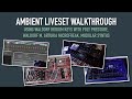 Ambient Liveset Walkthrough (With Iridium Keys, Waldorf M, Microfreak &amp; Modular)