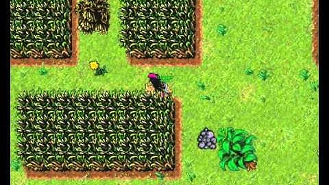 Tibia War Inferna August 2011 Part 1