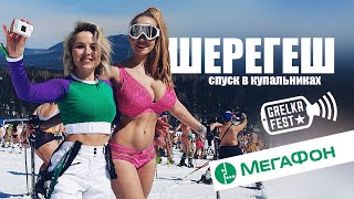 ШЕРЕГЕШ - Grelka Fest 2019 и ПРЯМОЙ эфир на всю Россию.