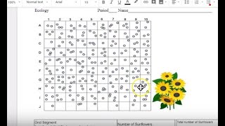 Random Sampling Paper