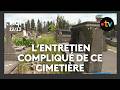 Ce cimetière est envahi par les mauvaises herbes fait polémique
