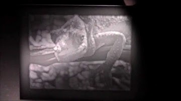 DIY CNC Router Novice - First Lithophanes