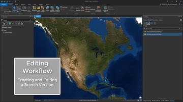 Editing Branch Versioned Data