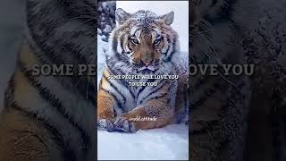 Add Attitude Attitude Status Whatsapp Status Attitude Quotes 