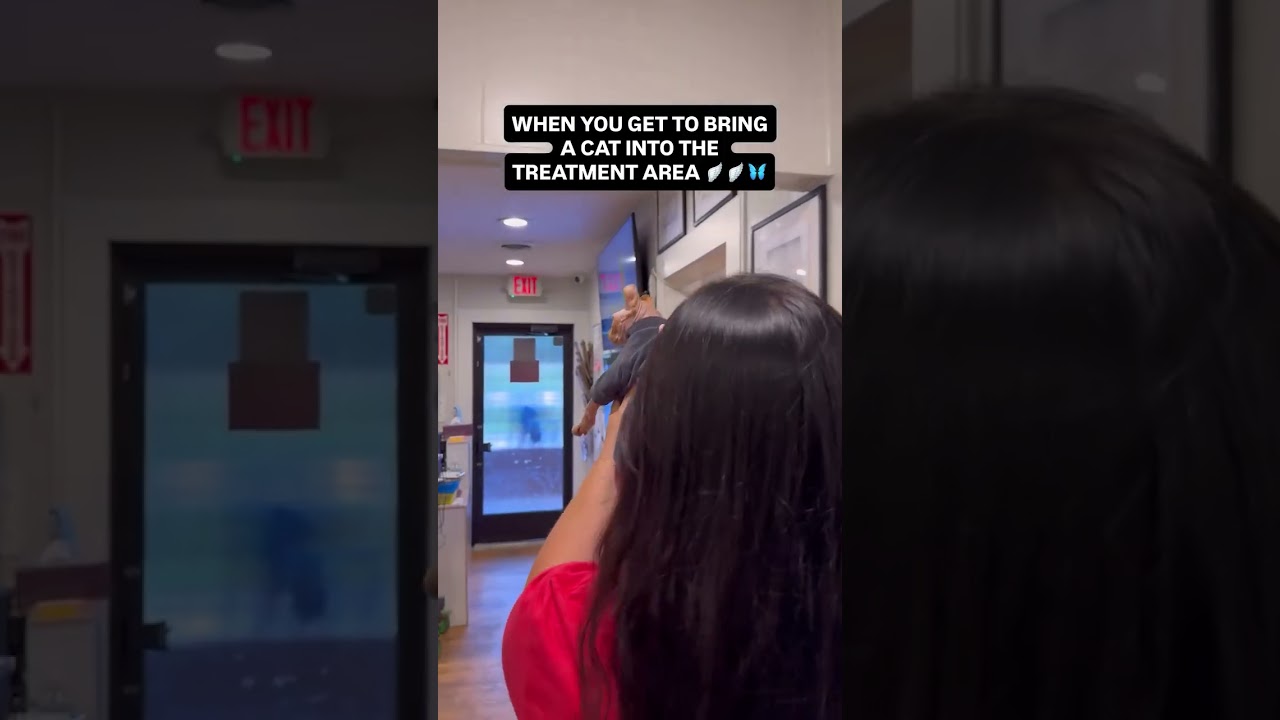 The sacred one 🙏 🐱 . . 